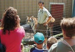 Organizing a tour to the sanctuary is easy