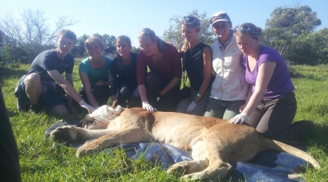 The sanctuary is run by volunteers